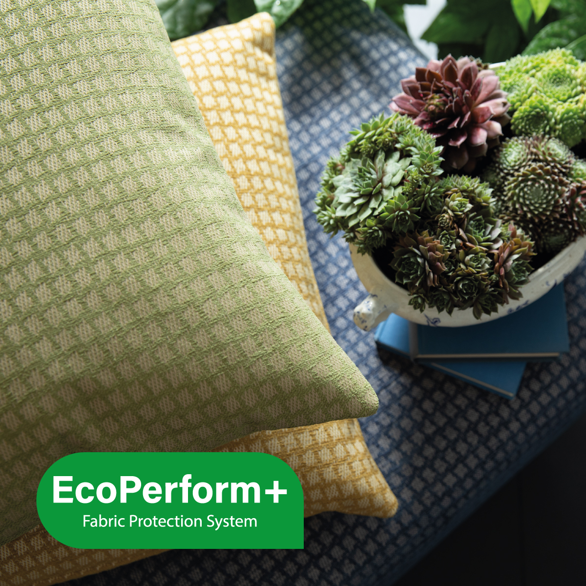 EcoPerform+